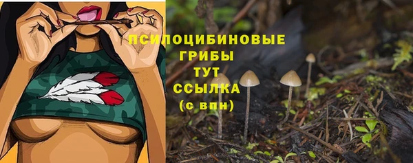 ешки Абинск