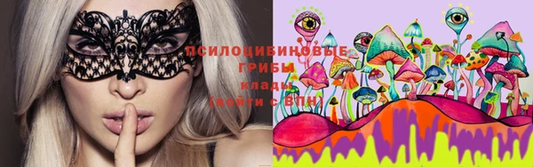 ешки Абинск